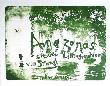 Amazonas Set, C.2007 by Reinhard Stangl Limited Edition Print