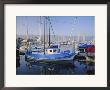 The Harbour In The Evening, Santa Barbara, California, Usa by Ruth Tomlinson Limited Edition Print