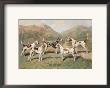 Fell Foxhounds by Thomas Ivester Llyod Limited Edition Pricing Art Print