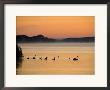 Murray River At Dawn, Mannum, South Australia, Australia by David Wall Limited Edition Pricing Art Print