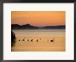 Murray River At Dawn, Mannum, South Australia, Australia by David Wall Limited Edition Print