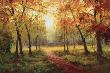 A Beautiful Walk In The Fall by Weber Limited Edition Pricing Art Print