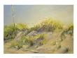 Evening Dunes by Joe Terrone Limited Edition Pricing Art Print