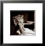 Marilyn Monroe by Elliott Erwitt Limited Edition Pricing Art Print