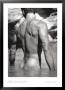 Soaking Wet by Fred Goudon Limited Edition Print