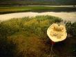 Boat Beside Lake At Sunset, Sor-Trondelag, Norway by Jon Davison Limited Edition Print