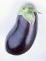 Aubergine Cut Out by Jan Ceravolo Limited Edition Pricing Art Print