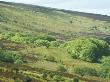 Landscape View On The Edge Of Moors At Exmoor, England, Uk by David Boag Limited Edition Print