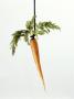 Carrot Hanging From A Piece Of Leather by Doug Mazell Limited Edition Pricing Art Print