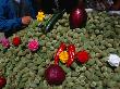 Green Almonds Stall, Damascus, Syria by Wayne Walton Limited Edition Print