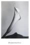 Calla Mit Blatt by Imogen Cunningham Limited Edition Pricing Art Print