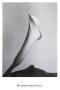 Calla Mit Blatt by Imogen Cunningham Limited Edition Print