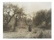 Apache Women Passing Oak Row by Edward S. Curtis Limited Edition Print
