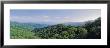Newfound Gap Road, Great Smoky Mountains National Park, Tennessee, Usa by Panoramic Images Limited Edition Print