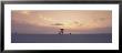 Sunset Over Gulf Of Mexico, Venice Beach, Venice, Florida, Usa by Panoramic Images Limited Edition Pricing Art Print