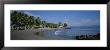 Palm Trees On The Beach, San Blas, Mexico by Panoramic Images Limited Edition Pricing Art Print