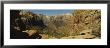 Rock Formations On A Landscape, Zion National Park, Utah by Panoramic Images Limited Edition Print