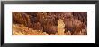 Rocks, Bryce Canyon National Park, Utah, Usa by Panoramic Images Limited Edition Pricing Art Print