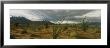 Storm Clouds Over A Landscape, California, Usa by Panoramic Images Limited Edition Pricing Art Print