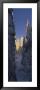 Pine Trees Covered With Snow On A Polar Landscape, Alvdalen, Dalarna, Sweden by Panoramic Images Limited Edition Print
