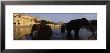 Three Elephants In The River, Amber Fort, Jaipur, Rajasthan, India by Panoramic Images Limited Edition Print