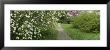 Path In A Park, Richmond, Virginia, Usa by Panoramic Images Limited Edition Pricing Art Print
