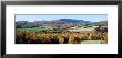 Fall Trees, Danby, Vermont, Usa by Panoramic Images Limited Edition Print