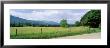 Road Along A Grass Field, Cades Cove, Great Smoky Mountains National Park, Tennessee, Usa by Panoramic Images Limited Edition Print