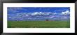 Field And Barn, Saskatchewan, Canada by Panoramic Images Limited Edition Print