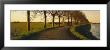 Winding Road, Trees, Oudendijk, Netherlands by Panoramic Images Limited Edition Print