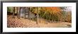 Trees On A Hill, Connecticut, Usa by Panoramic Images Limited Edition Pricing Art Print
