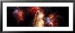 Fireworks Display, Banff, Alberta, Canada by Panoramic Images Limited Edition Print