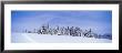 Winter Hillside With Ski Tracks, Vermont, Usa by Panoramic Images Limited Edition Pricing Art Print