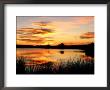 Sunset Light On A Pond At Chico Basin Ranch, Colorado by Willard Clay Limited Edition Print