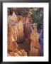 Hoodoos And Fins With Thor's Hammer And Queen Victoria, Bryce Canyon National Park, Utah, Usa by Jamie & Judy Wild Limited Edition Print