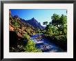 North Fork Of Virgin River, Zion National Park, Utah by Eddie Brady Limited Edition Print