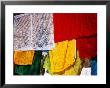 Prayer Flags, Jokhang Temple, Lhasa, Tibet, China by Anthony Plummer Limited Edition Print