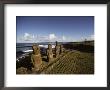 Volcanic Rock Statues, Called Moai, Stand In A Row On Ahu Akivi by James P. Blair Limited Edition Print