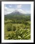 Arenal Volcano From La Fortuna Side, Costa Rica, Central America by R H Productions Limited Edition Print