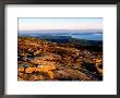 Cadillac Mountain Summit, Early Morning, Acadia National Park, Maine by John Elk Iii Limited Edition Print