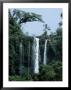 Beautiful Waterfall Surrounded By Pristine Subtropical Rainforest by Jason Edwards Limited Edition Print