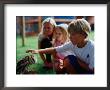 Boy Patting An Owl At The Spier Wildlife Shelter, Cape Town, Western Cape, South Africa by Philip & Karen Smith Limited Edition Print