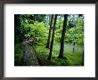 Visitors Stroll Down A Stone Path In A Japanese Garden by Paul Chesley Limited Edition Print