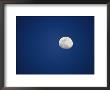 Three-Quarter Moon Over Ranthambhore National Park by Jason Edwards Limited Edition Print