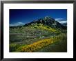 Aerial Of Mt. Crested Butte In The Rocky Mountains, Crested Butte, Usa by Jim Wark Limited Edition Print