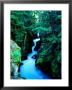 Water Rushing Through Avalanche Creek Gorge, Glacier National Park, Montana by Holger Leue Limited Edition Print
