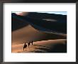 Camel Caravan Crossing The Erg Chebbi Dunes Of Merzouga, Erg Chebbi Desert, Morocco by John Elk Iii Limited Edition Print