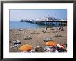 The Palace Pier And Beach, Brighton, Sussex, England, United Kingdom by Roy Rainford Limited Edition Print
