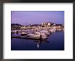Harbour At Dusk, Torquay, Devon, England, United Kingdom by Lee Frost Limited Edition Print