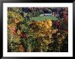 Countryside With Barn, Vermont by Russell Burden Limited Edition Print